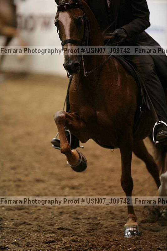 Proof Number usn07_j09742