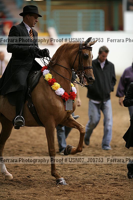 Proof Number usn07_j09753
