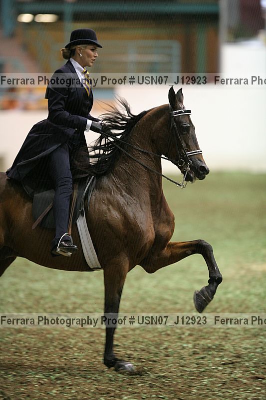 Proof Number usn07_j12923