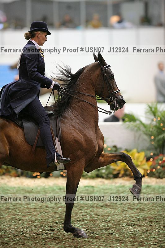 Proof Number usn07_j12924