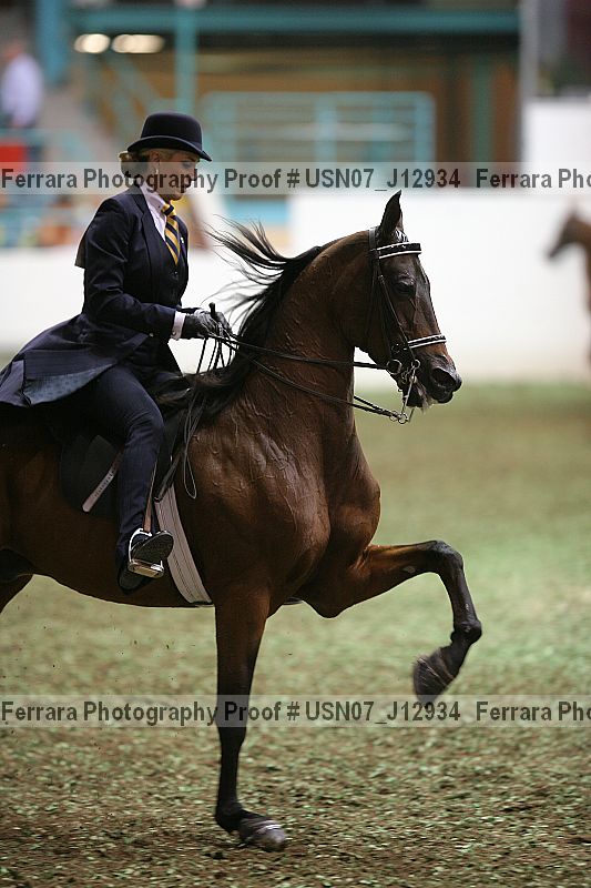 Proof Number usn07_j12934