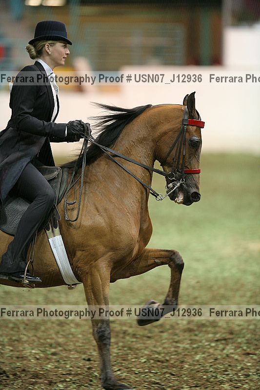 Proof Number usn07_j12936