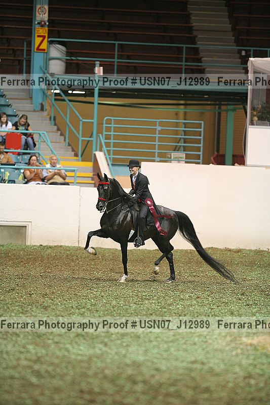 Proof Number usn07_j12989