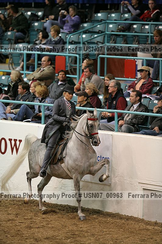 Proof Number usn07_00963