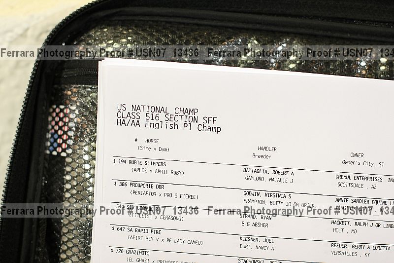 Proof Number usn07_13436
