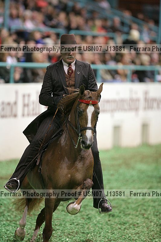 Proof Number usn07_j13581