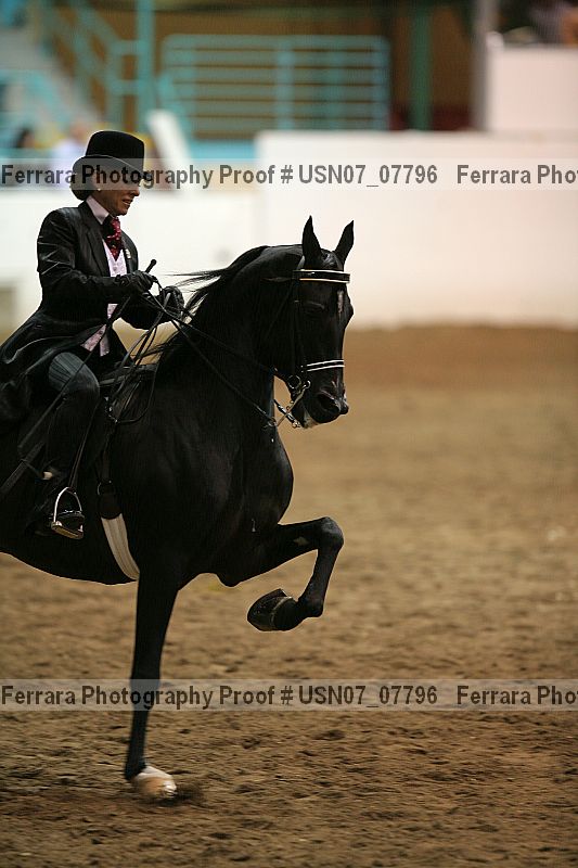 Proof Number usn07_07796
