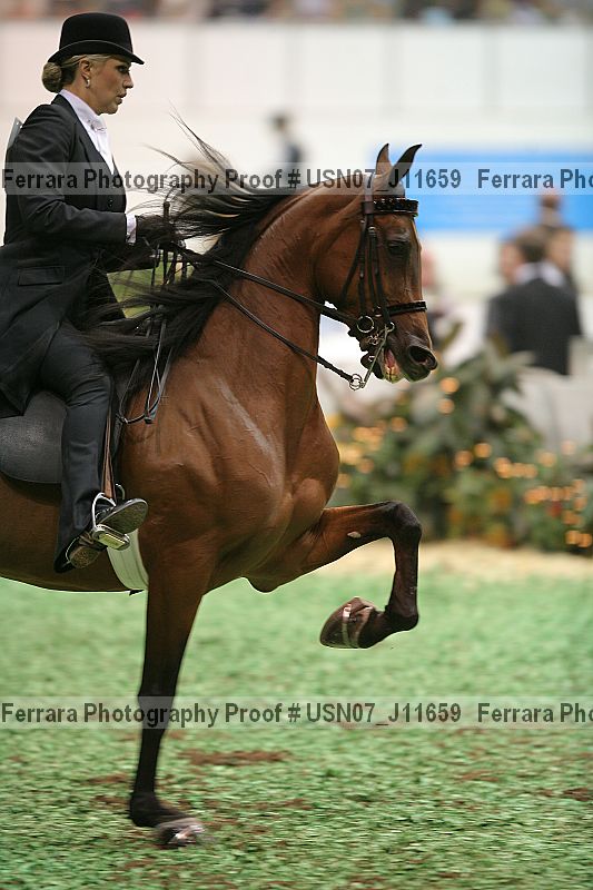 Proof Number usn07_j11659