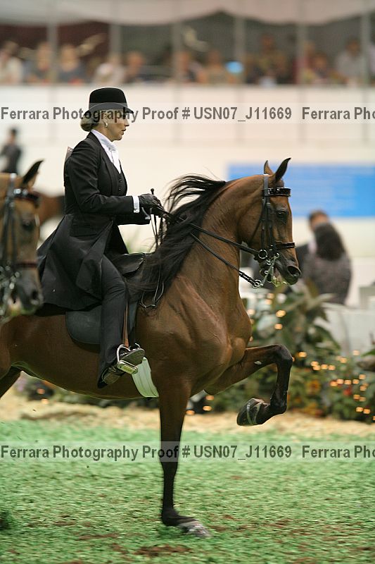 Proof Number usn07_j11669
