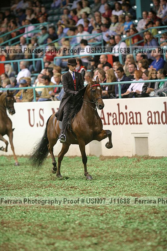Proof Number usn07_j11688