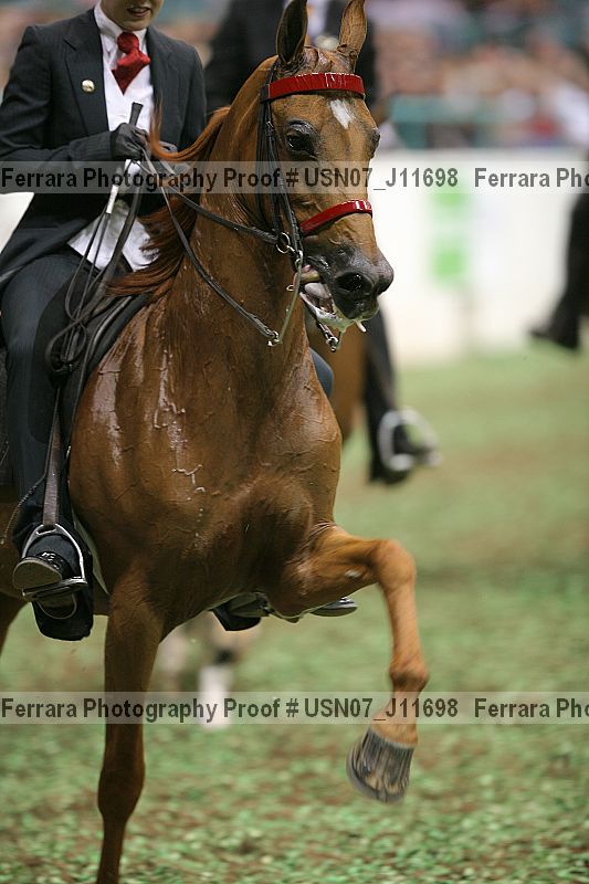 Proof Number usn07_j11698
