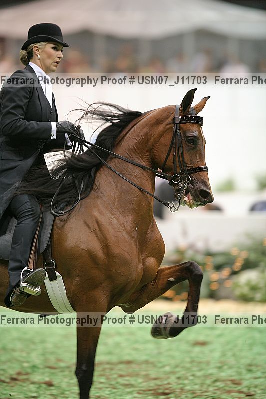 Proof Number usn07_j11703