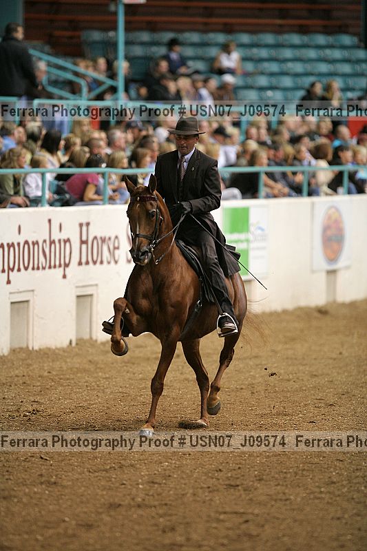 Proof Number usn07_j09574
