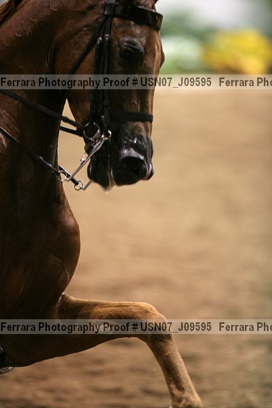 Proof Number usn07_j09595