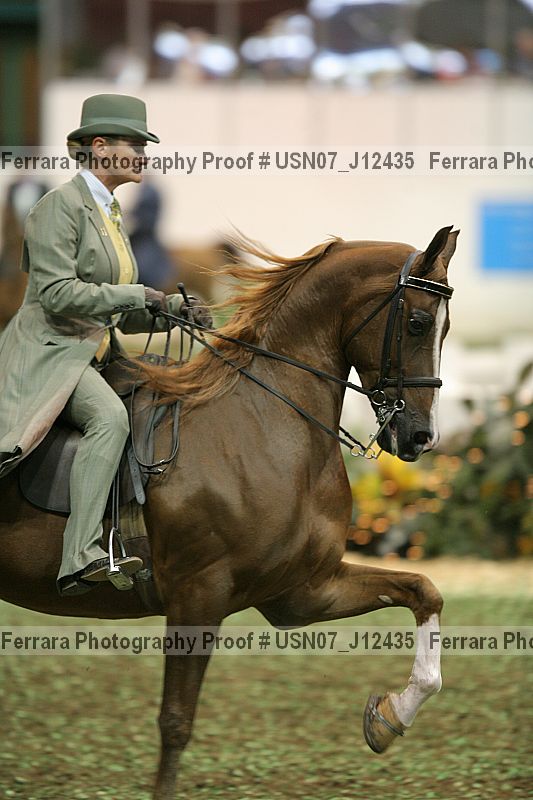 Proof Number usn07_j12435