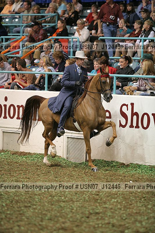 Proof Number usn07_j12445