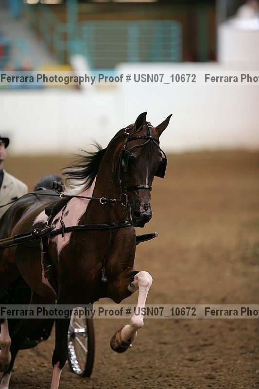 Proof Number usn07_10672