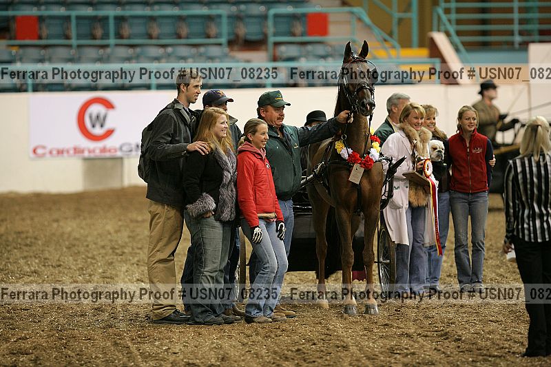 Proof Number usn07_08235