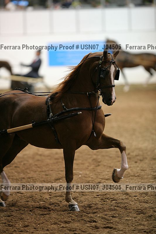 Proof Number usn07_j04505