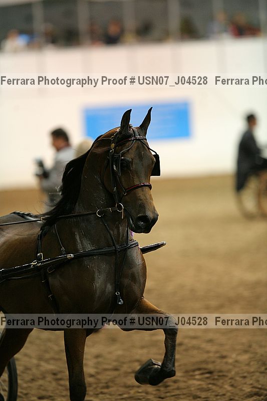 Proof Number usn07_j04528