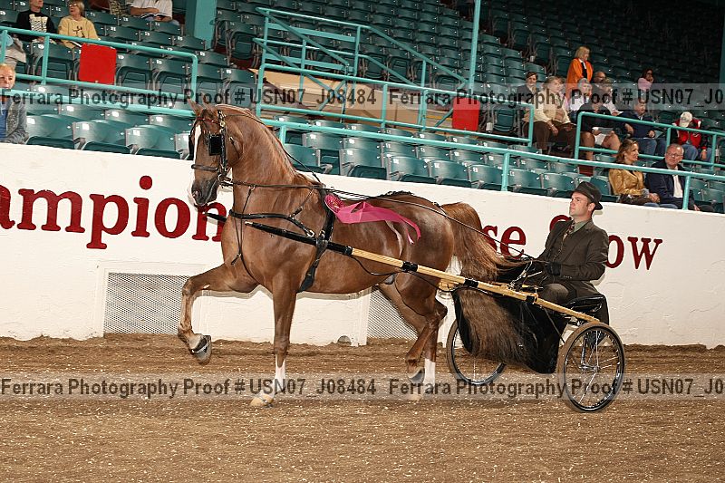 Proof Number usn07_j08484