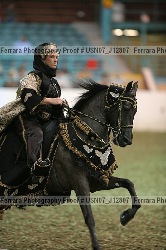 Proof Number usn07_j12807