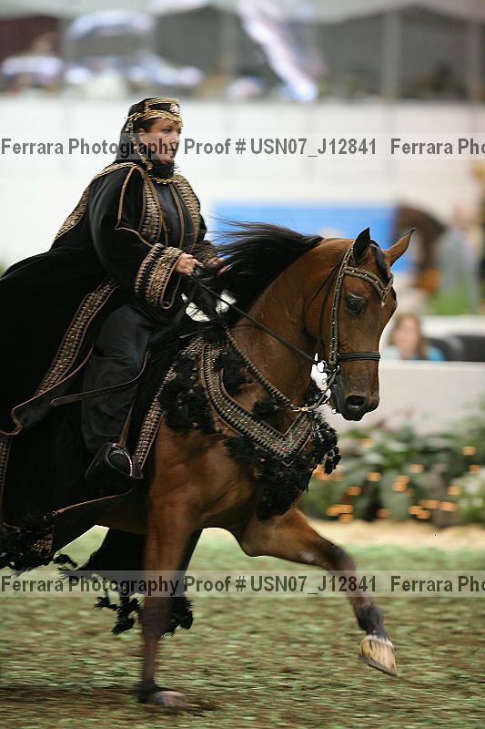 Proof Number usn07_j12841