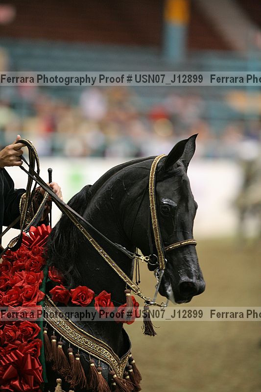 Proof Number usn07_j12899