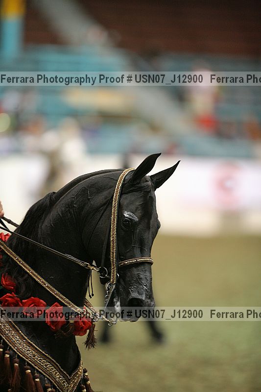 Proof Number usn07_j12900