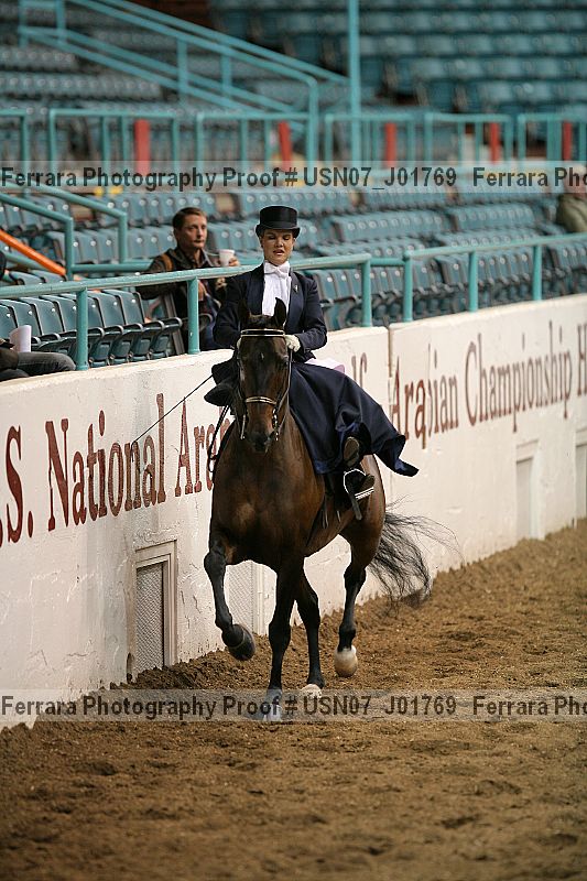 Proof Number usn07_j01769