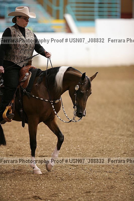 Proof Number usn07_j08832