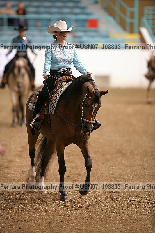 Proof Number usn07_j08833