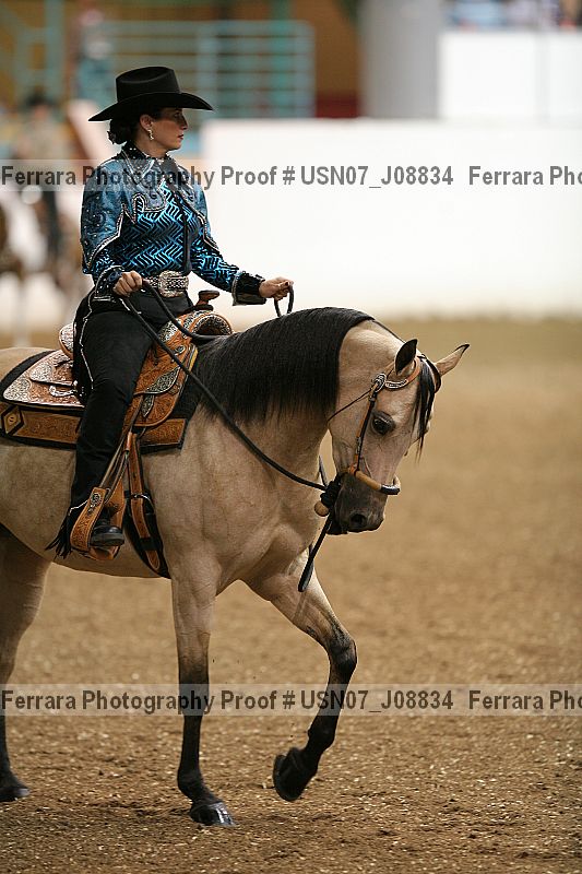 Proof Number usn07_j08834