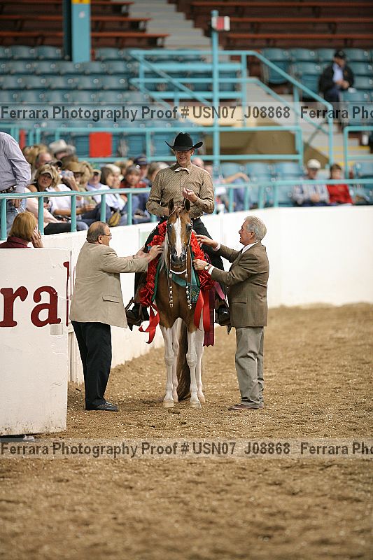 Proof Number usn07_j08868