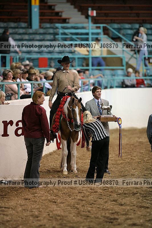 Proof Number usn07_j08870