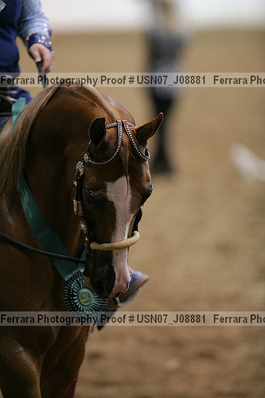 Proof Number usn07_j08881