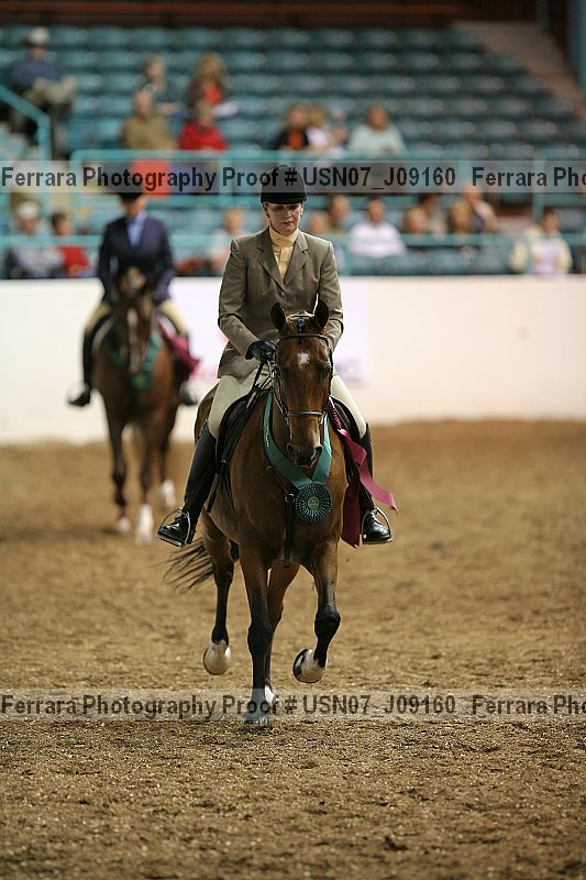 Proof Number usn07_j09160