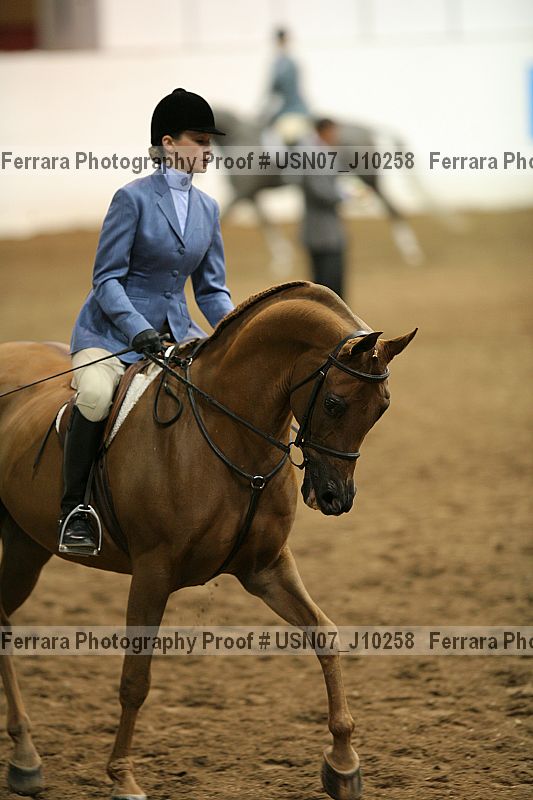 Proof Number usn07_j10258