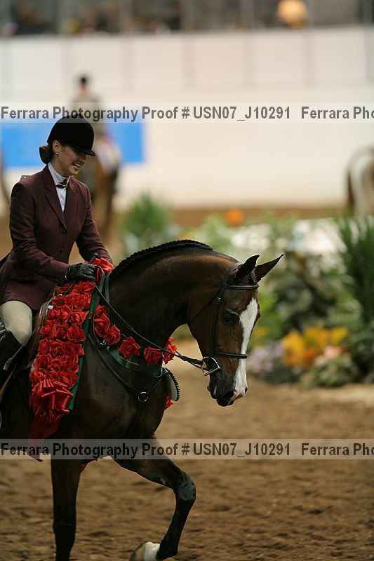 Proof Number usn07_j10291