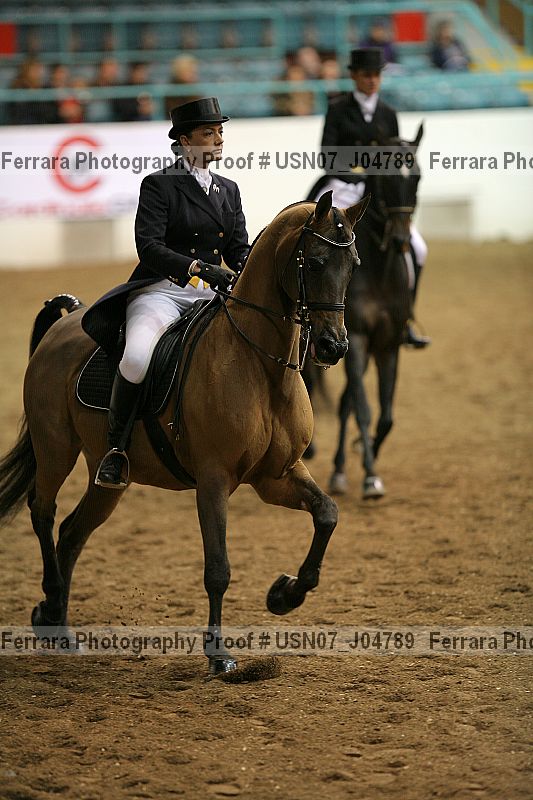 Proof Number usn07_j04789