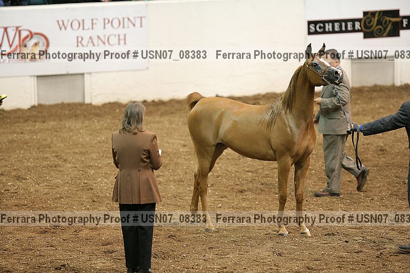 Proof Number usn07_08383