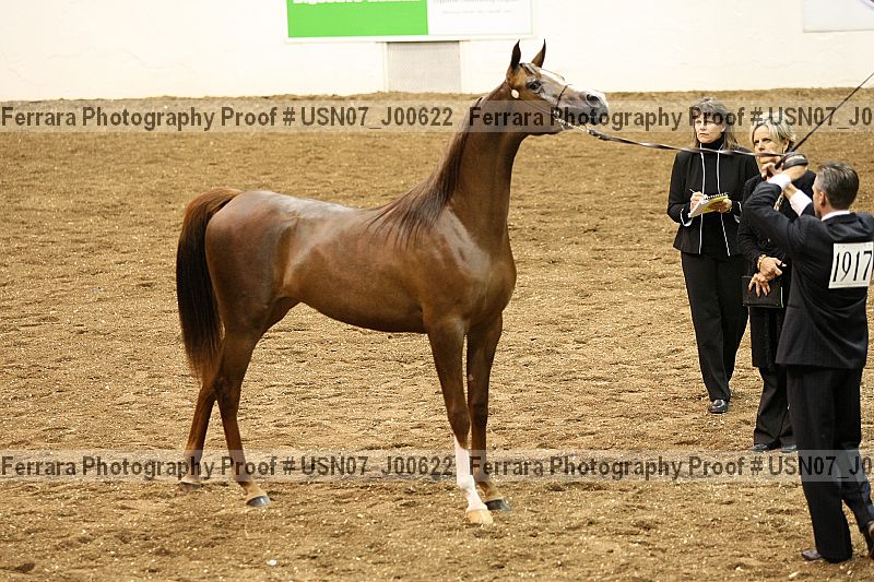 Proof Number usn07_j00622