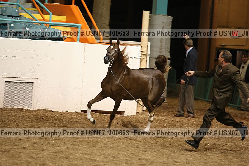 Proof Number usn07_j00653