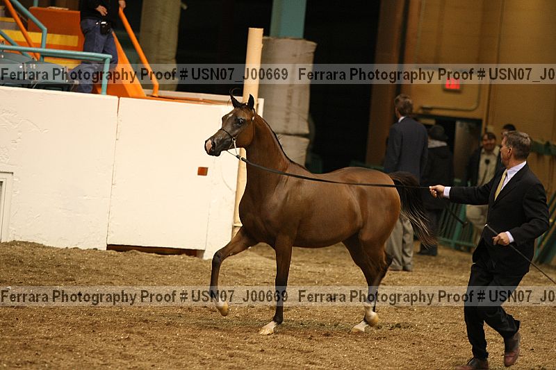 Proof Number usn07_j00669