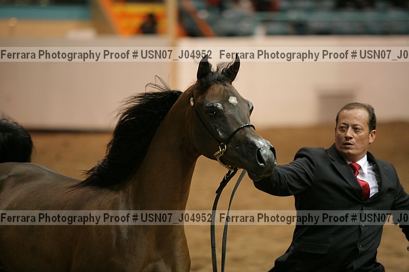 Proof Number usn07_j04952
