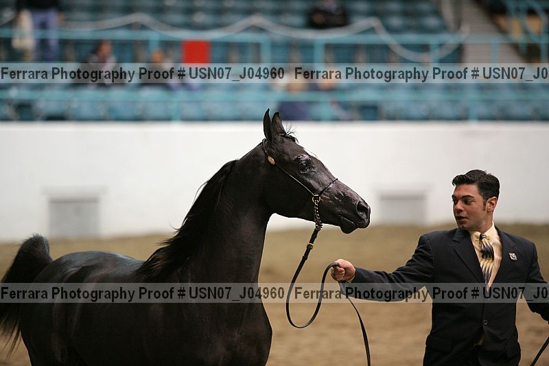 Proof Number usn07_j04960