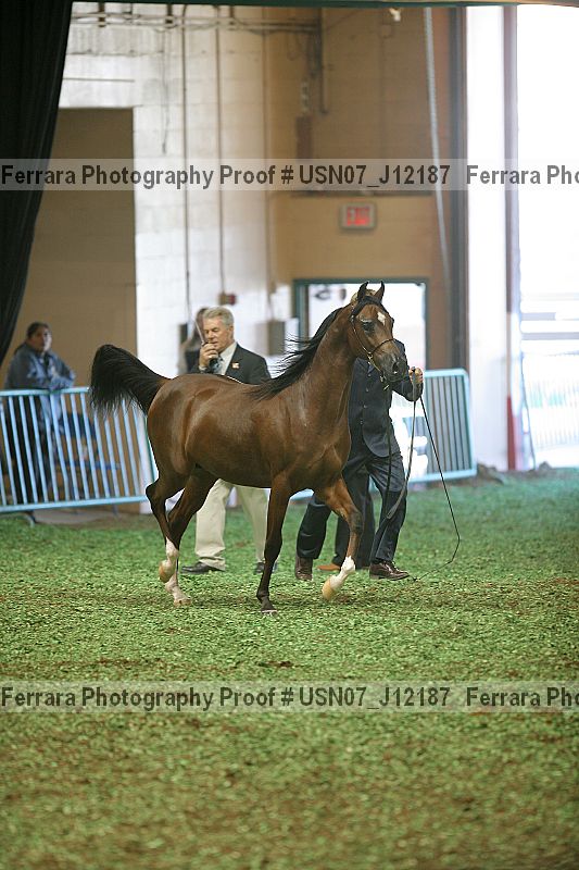Proof Number usn07_j12187