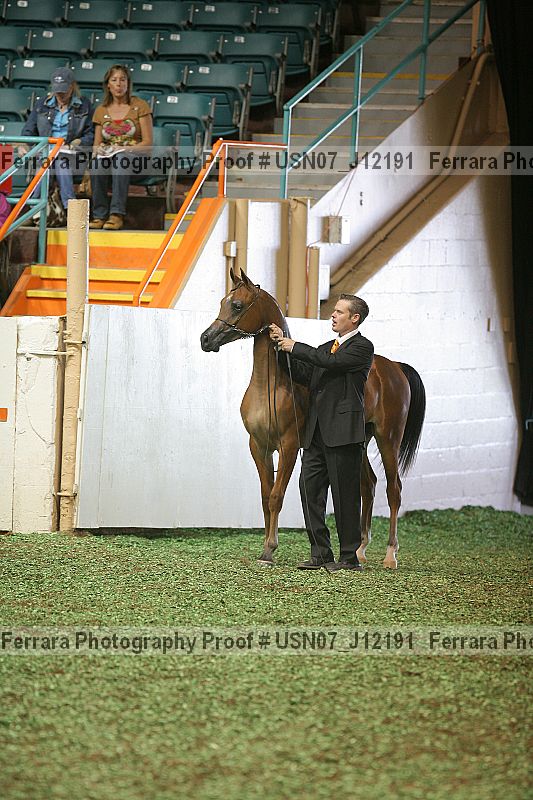 Proof Number usn07_j12191
