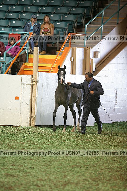 Proof Number usn07_j12198