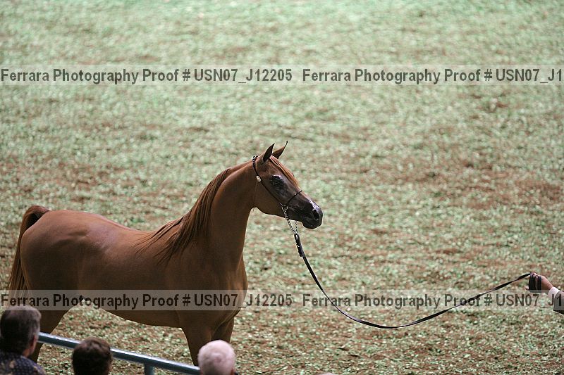 Proof Number usn07_j12205
